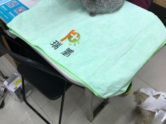 -瑞鹏宠物医院·猫科·宠保定点(梅溪湖分院)
