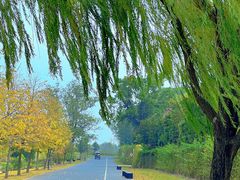-上海辰山植物园