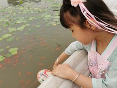 -西海子公园