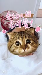 -庆东医疗美容