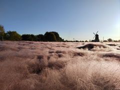 -羊亭河湿地公园