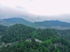 -大金鹰园