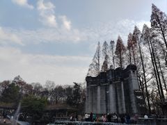 -音乐台