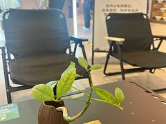 -茶月山·潮汕工夫茶饮(乐峰广场店)