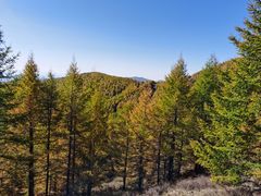 -苏木山森林公园
