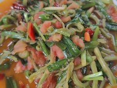 仙人掌-晓雯人家