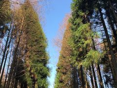 -山王坪喀斯特国家生态公园