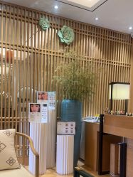 -一本X目奈子日式单根美睫专业店