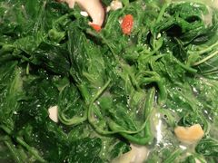 -大榕树下顺德菜(融创茂店)