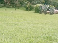 -晓港公园