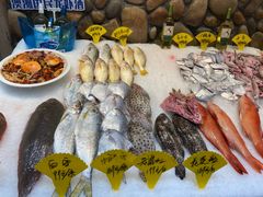 -星龙海鲜(望江东路店)