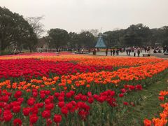-无锡梅园公园
