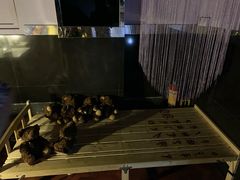 -樊笼真人密室逃脱(江南西店)