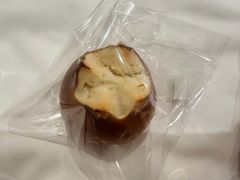 海盐碱水球-WHEN PIGS FLY当猪飞