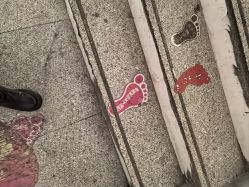 -香薇妮丝·定制减肥·身材管理