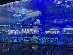 -成都浩海立方海洋公园