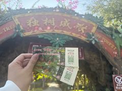 -瑞丽独树成林风景区