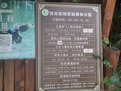 -西双版纳原始森林公园