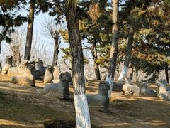 -中国唐苑