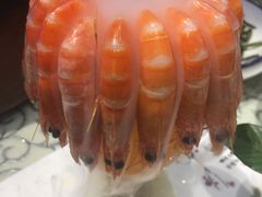 白灼虾-巴特餐饮6加1音乐餐吧·新疆菜