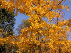 -大明宫国家遗址公园·御道广场