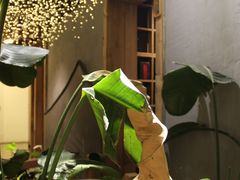 -邈墨茶馆(凤起路店)