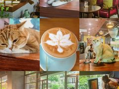 -咖法森林·咖啡  酒吧(天河店)