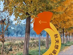 -汉景帝阳陵博物院