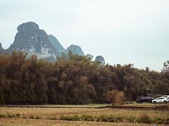 -明仕田园