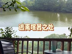 -张鸟园农家乐(张鸟园店)