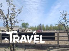 -北京群众马术培训基地