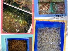 -绢姐海鲜大排档