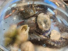 -争先鲜·蒸汽海鲜自助·鲜切牛肉