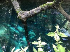 -蝴蝶泉公园
