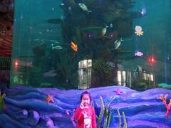 -青岛嘉年华主题乐园