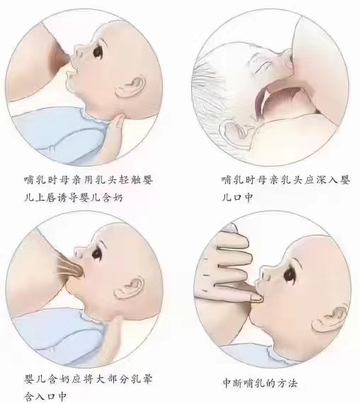 生小孩前后乳头对比图片