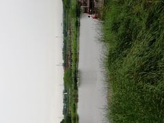 -荷塘月色湿地公园·向阳花洲