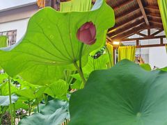 -聚福宝合苑食府(南头镇店)