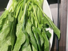 -蝎王府羊蝎子(北大地店)