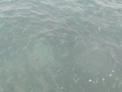 -亚龙湾海底世界
