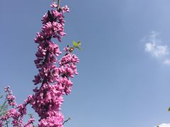 -上膳源有机农场