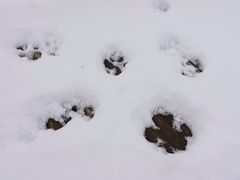 -黄河九曲第一湾