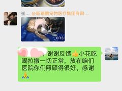 -宠福鑫康馨动物医院·骨科·眼科