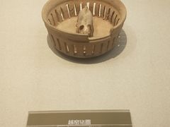 -嘉定博物馆