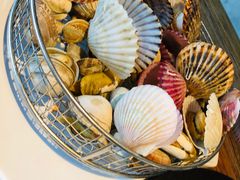 -海胆小馆(东北水饺·春柳店)