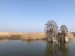 -宁波杭州湾国家湿地公园