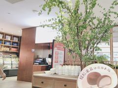 -船歌·鱼水饺青岛菜(金狮广场店)