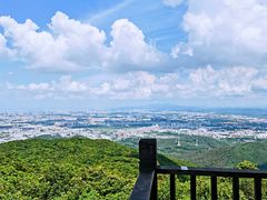 -东莞市大岭山森林公园
