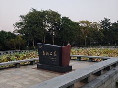 -蠡湖大桥公园