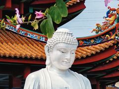 -仙岳公园
